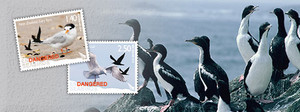 Endangered Seabirds