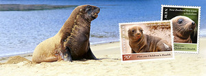 2012 Children's Health: New Zealand Sea Lion