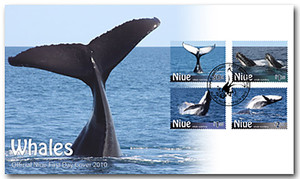 Niue Whale Watching