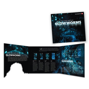 2016 New Zealand Native Glowworms Presentation Pack image | NZ Post Collectables