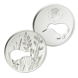 Kiwi Silhouette Silver Proof Coin