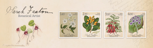 Sara Featon - Botanical Artist | NZ Post Collectables