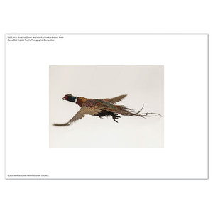 2022 Game Bird Habitat Limited Edition Artist Print | NZ Post Collectables