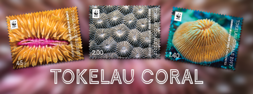 Tokelau Corals