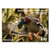 2024 Game Bird Habitat $10 License Stamp | NZ Post Collectables