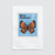 Enid Hunter Butterflies 1970 Glade Copper Butterfly 1/2c Stamp Art Print Flat | NZ Post Collectables