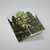 Native Trees Greeting Card Set 3 | NZ Post Collectables
