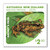Native Frogs $2.90 Stamp | NZ Post Collectables