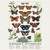 Foraging Pūrerehua - Butterflies A2 Poster | NZ Post Collectables