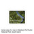 2025 KiwiStamps Westland Tai Poutini National Park | NZ Post Collectables