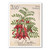 2021 Sarah Featon - Botanical Artist $3.50 Stamp | NZ Post Collectables