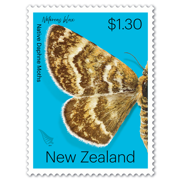 Native Daphne Moths single $1.30 gummed stamp | NZ Post Collectables