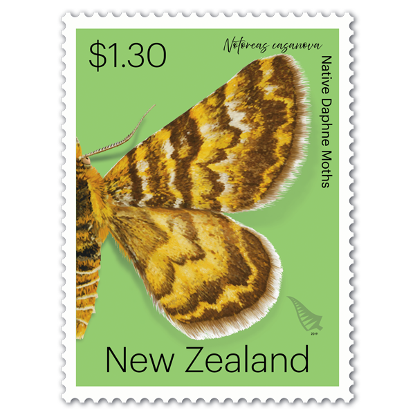 Native Daphne Moths single $1.30 gummed stamp | NZ Post Collectables