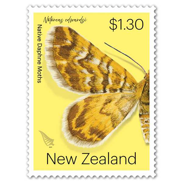 Native Daphne Moths single $1.30 gummed stamp | NZ Post Collectables