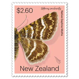 Native Daphne Moths single $2.60 gummed stamp | NZ Post Collectables