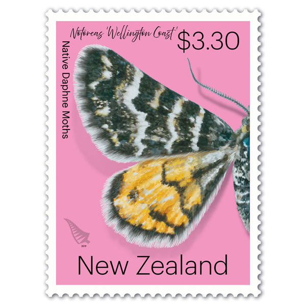 Native Daphne Moths single $3.30 gummed stamp | NZ Post Collectables
