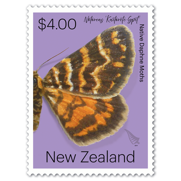 Native Daphne Moths single $4.00 gummed stamp | NZ Post Collectables