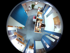 Fisheye Source image Sample