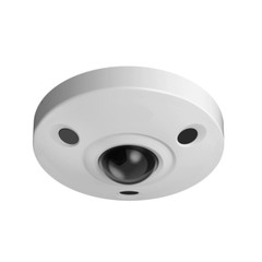 Dahua OEM IPC-EBW81200 12MP Vandal IR Fisheye IP Camera