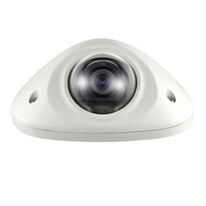 mini vandal dome front view