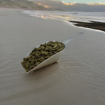 Buster's Fish Cat Treats