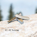 Moose Antler - Small Paddle Moose Antler - Small Paddle