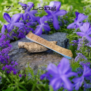 Moose Antler - Large Paddle Moose Antler - Large Paddle