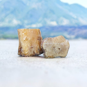 Beef Marrow Bone - Small Beef Marrow Bone - Small