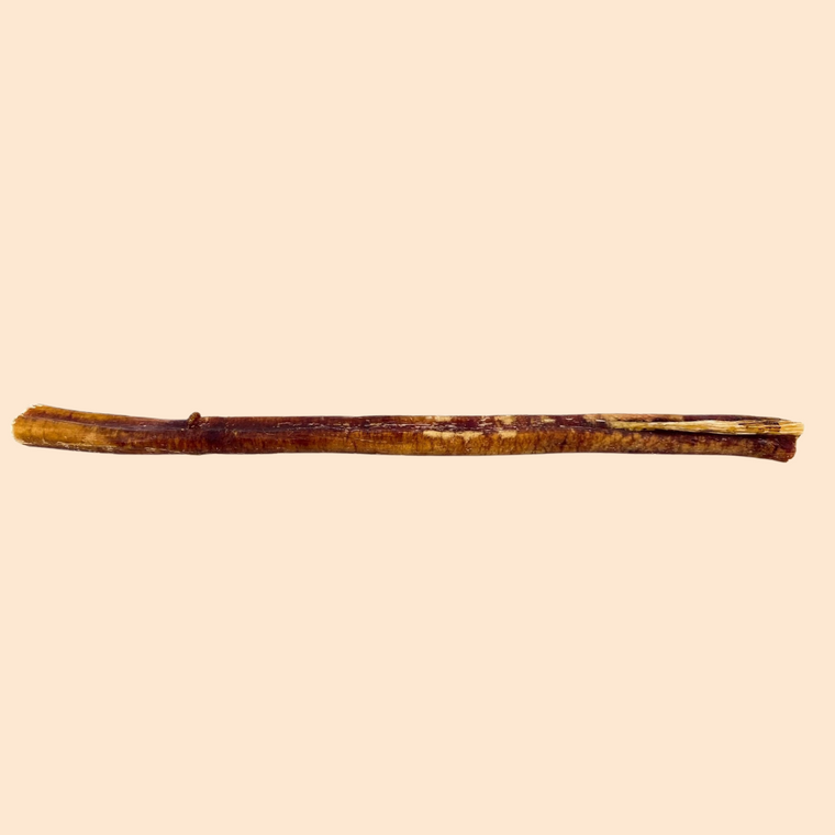 Beef Bully Stick