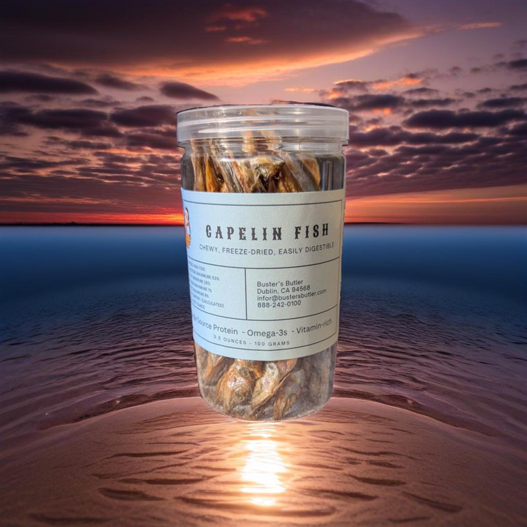Capelin Fish - Freeze Dried