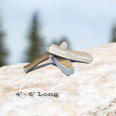 Moose Antler - Small Paddle