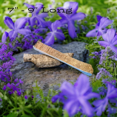 Moose Antler - Small Paddle