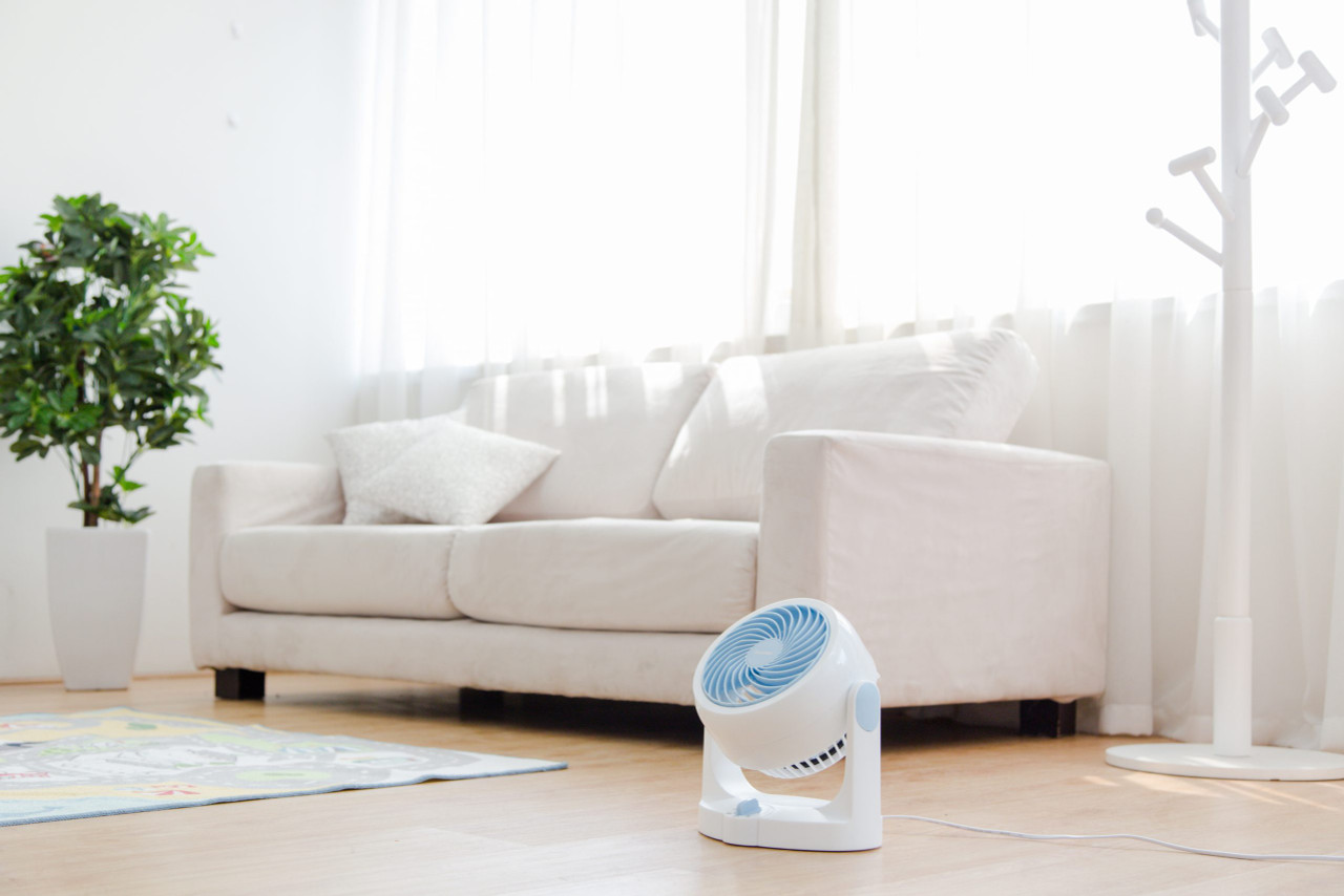 Iris Ohyama PCF-HD15N Circulator Fan (Blue) | Selffix DIY