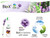 Bio-X VOC Free 3-in-1 Lavender Aerosol Spray 300ml - Selffix Singapore