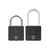 Yale YDPL Biometric Padlock Large (Assorted Types) - Selffix Singapore