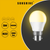 Sunshine LED Bulb Globe G-Series 5W E14 / E27 / B22 Daylight / Warmwhite - Selffix Singapore