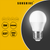 Sunshine LED Bulb Globe G-Series 5W E14 / E27 / B22 Daylight / Warmwhite - Selffix Singapore