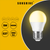 Sunshine LED Bulb Globe G-Series 5W E14 / E27 / B22 Daylight / Warmwhite - Selffix Singapore