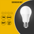 Sunshine LED Bulb Globe A-Series 6W / 7W / 9W / 12W E27 / B22 Daylight / Warmwhite - Selffix Singapore