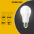 Sunshine LED Bulb Globe A-Series 6W / 7W / 9W / 12W E27 / B22 Daylight / Warmwhite - Selffix Singapore
