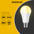 Sunshine LED Bulb Globe A-Series 6W / 7W / 9W / 12W E27 / B22 Daylight / Warmwhite - Selffix Singapore
