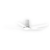 Gloxon 52" DC 5-Blades Hugger Ceiling Fan with LED Light CF5202 LR Black / Black Wood / White - Selffix Singapore