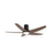 Gloxon 52" DC 5-Blades Hugger Ceiling Fan with LED Light CF5202 LR Black / Black Wood / White - Selffix Singapore