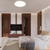 Gloxon CL500ERF Full-Spectrum LED Ceiling Light - Selffix Singapore