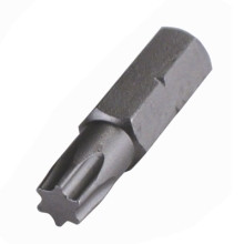 Torx Insert Bits