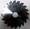 Popular Tools Edge Banding Saw Blade - Popular Tools EB1502230R