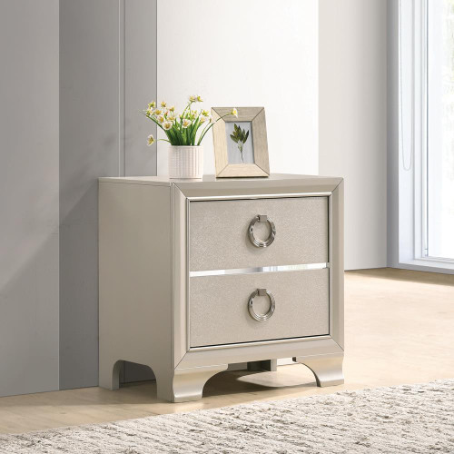 Salford 2-Drawer Nightstand Metallic Sterling