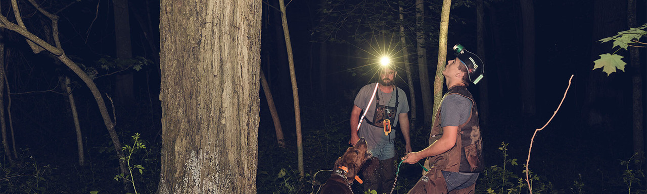 Big Dog Lights Big Dog Lights