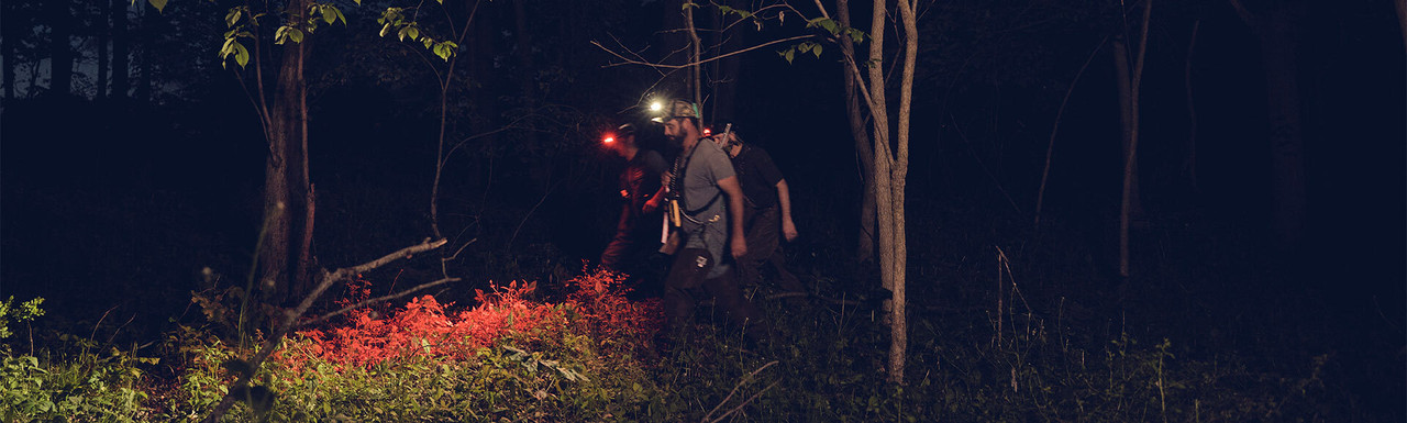 Bright Eyes Lights Bright Eyes Lights