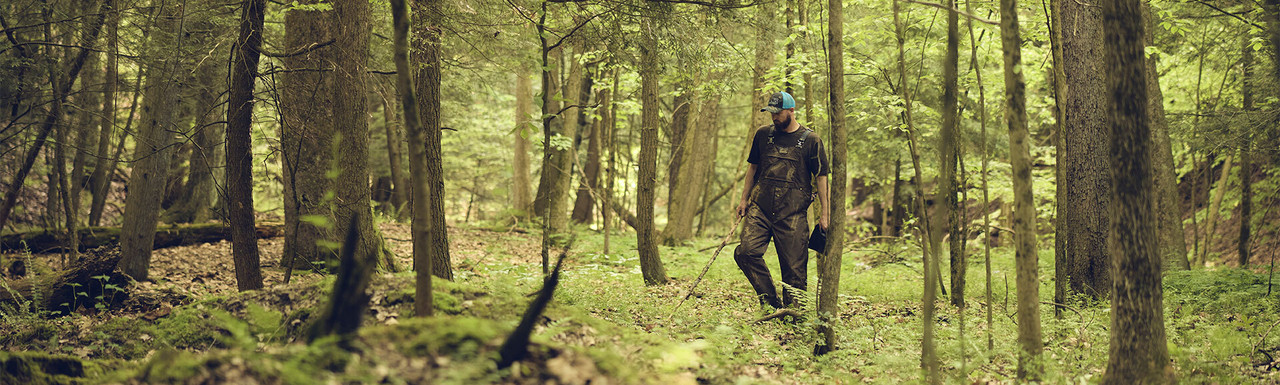 Briarproof Series